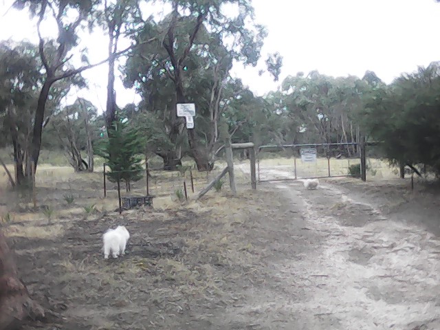 On Building a society