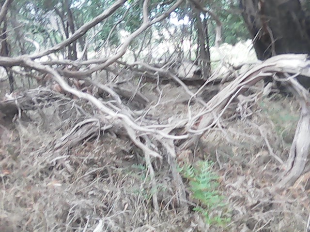 On Building a society