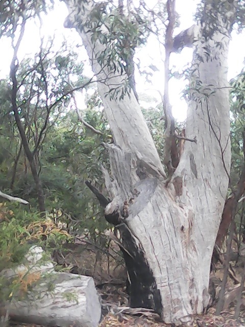 On Building a society