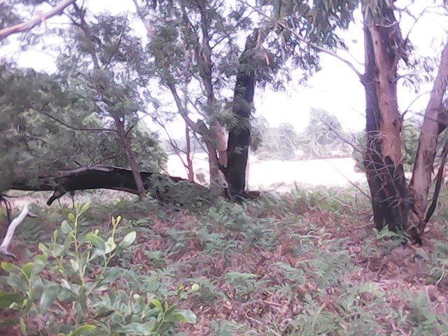 On Building a society