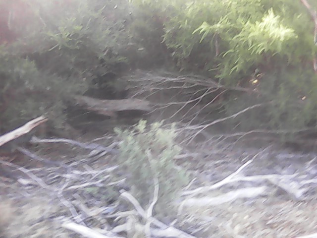 On Building a society