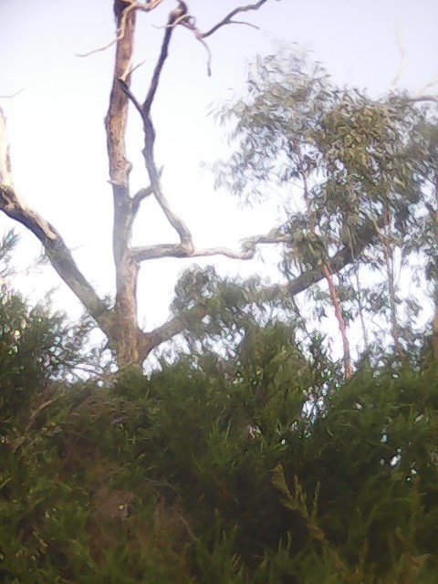 On Building a society