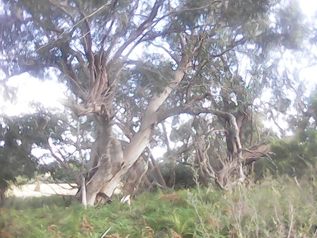 On Building a society