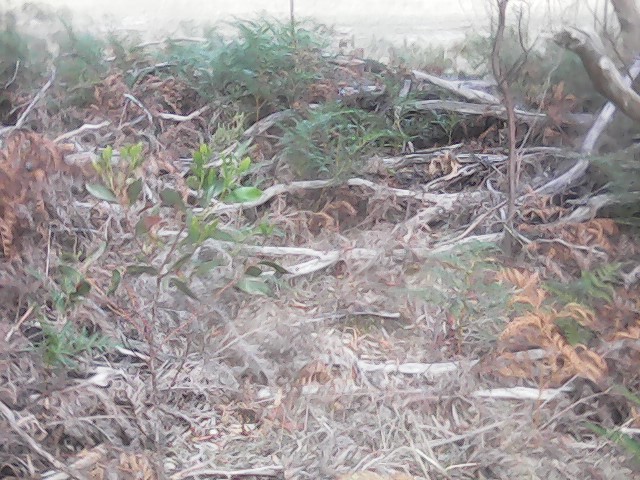 On Building a society