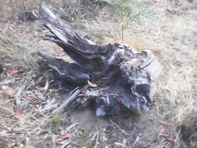 On Building a society