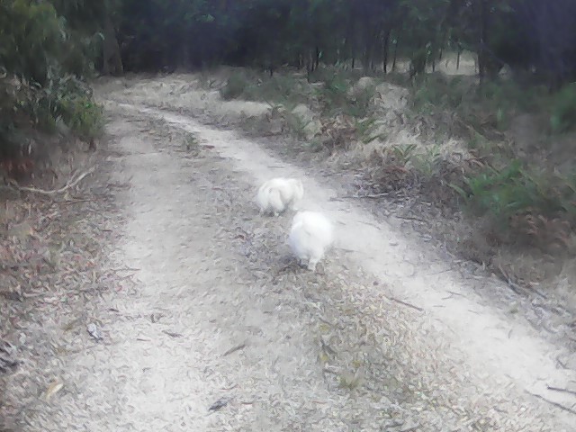 On Building a society