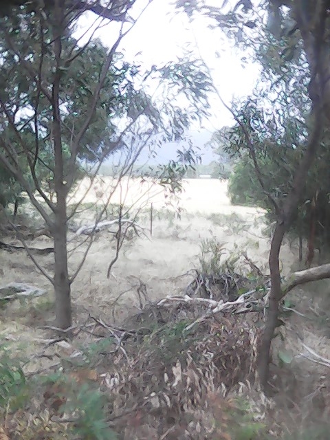 On Building a society