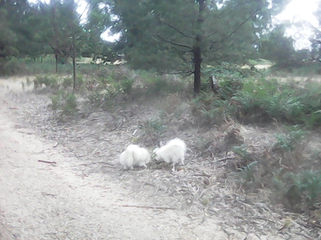 On Building a society