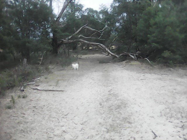 On Building a society