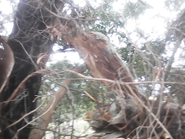 On Building a society