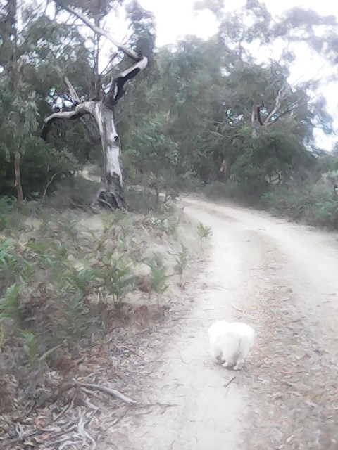 On Building a society